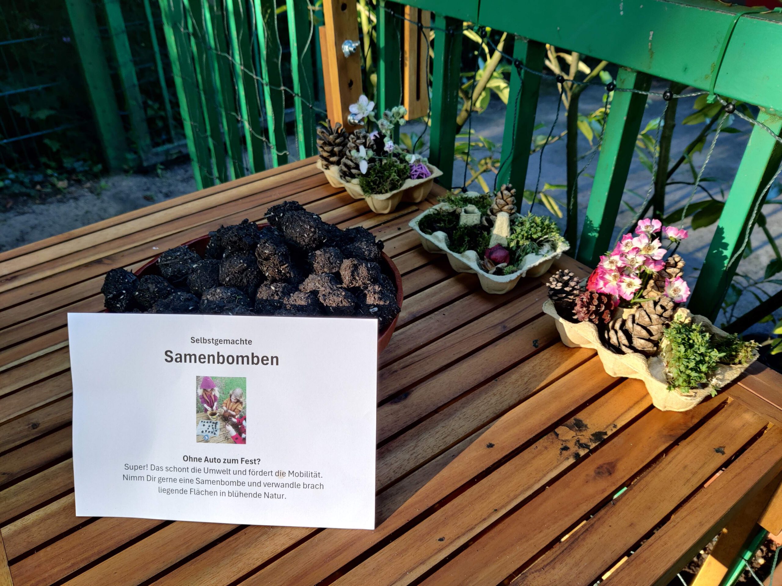 Selbst gemachte Samenbomben