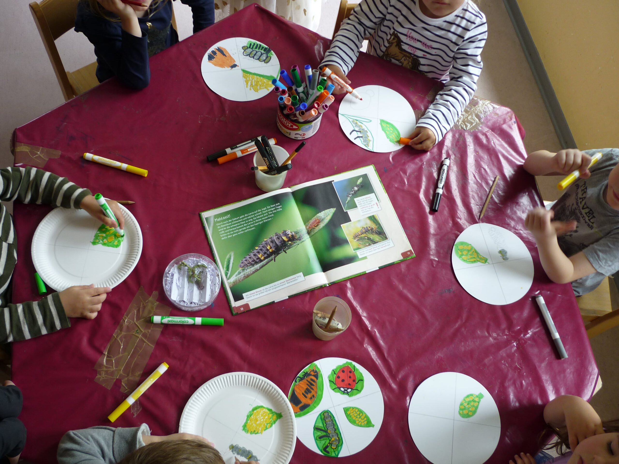 Kinder schauen auf Marienkäfer-Materialien