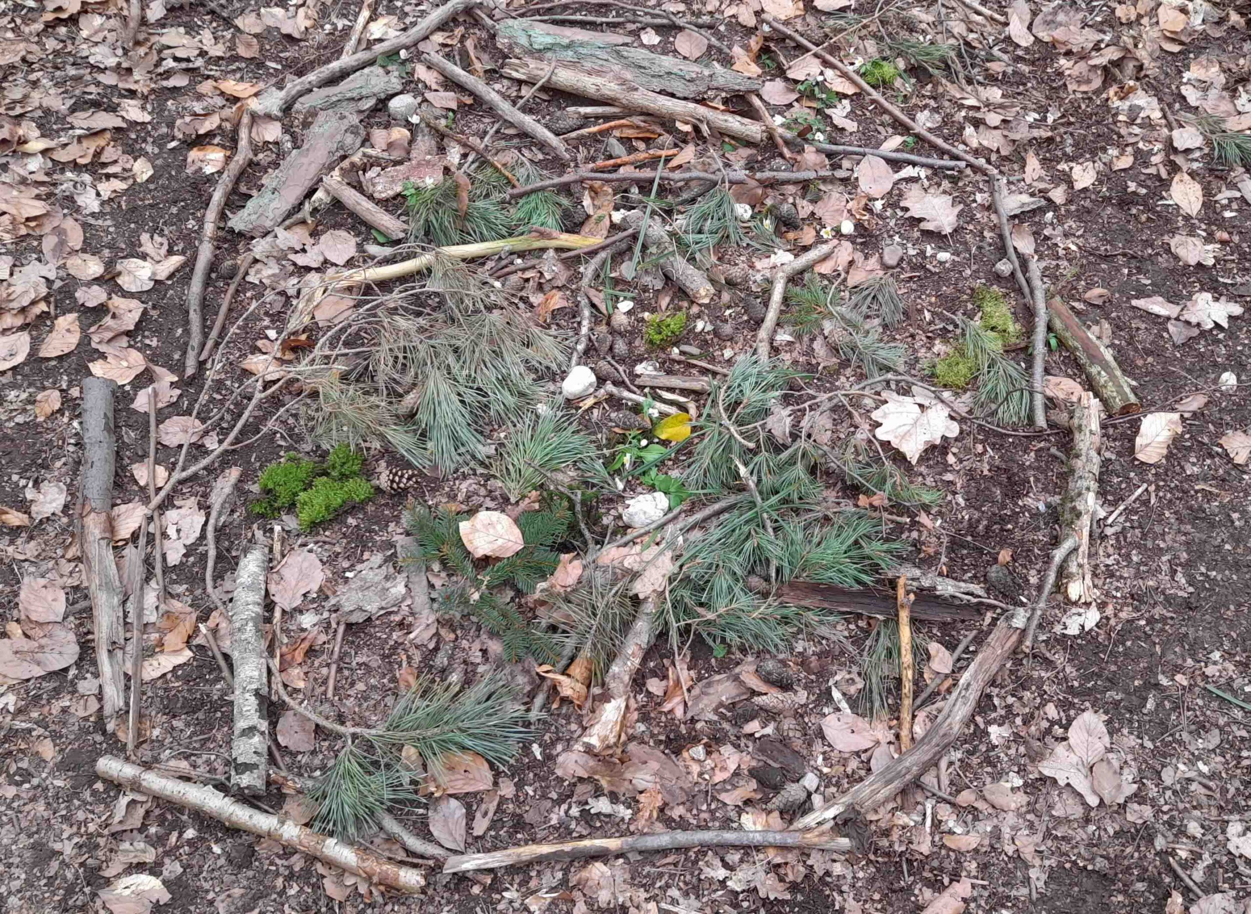 Ein Waldmandala