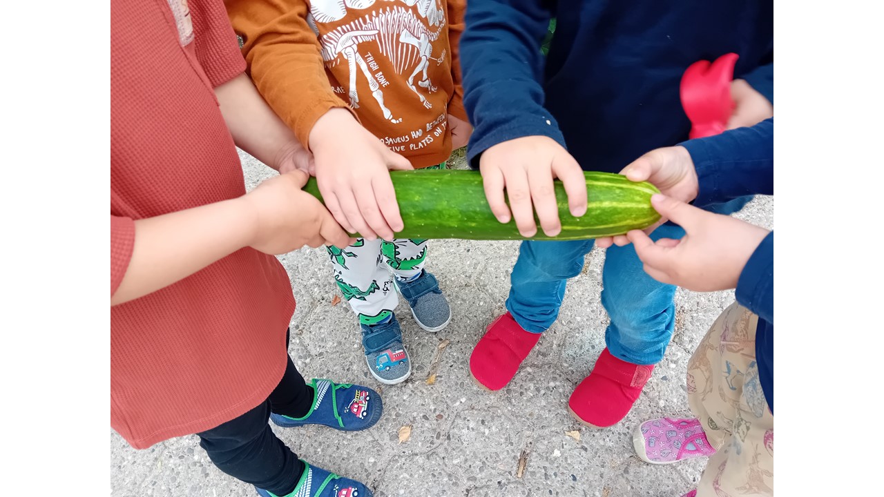 Kinder halten eine Gurke