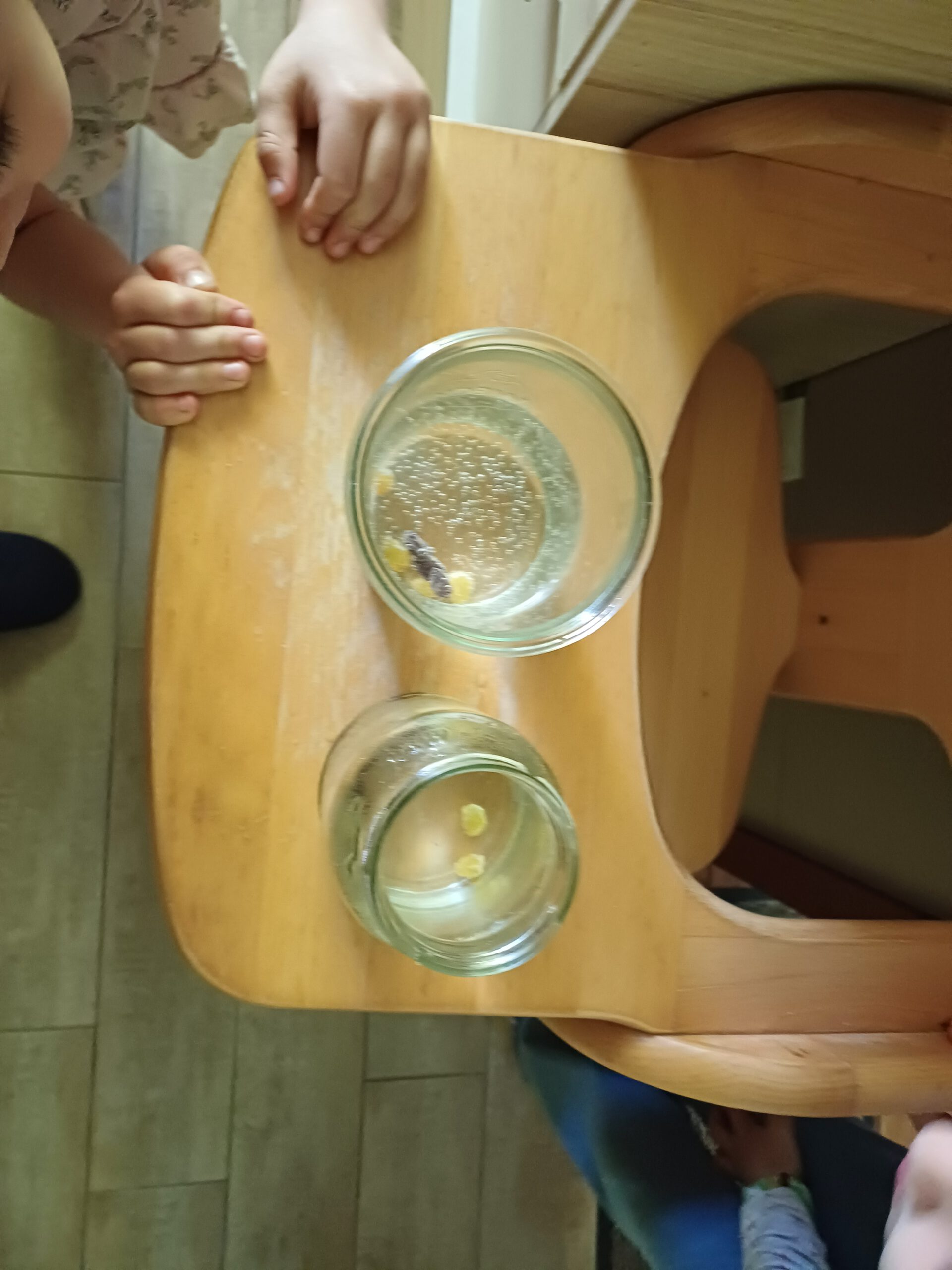 Kinder beobachten ein Experiment mit Rosinen im Wasserglas