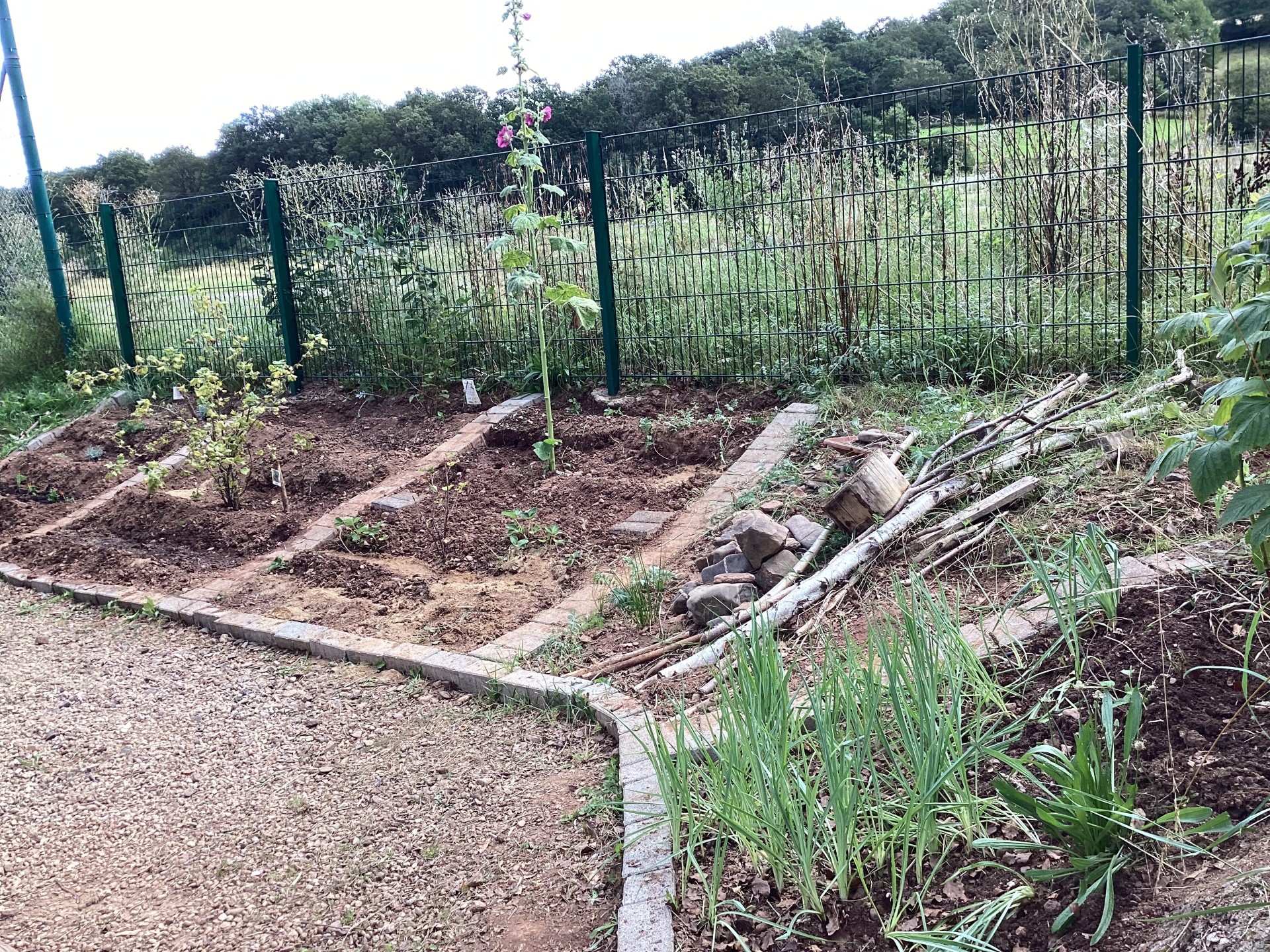 Ein Kita-Garten mit Beeten