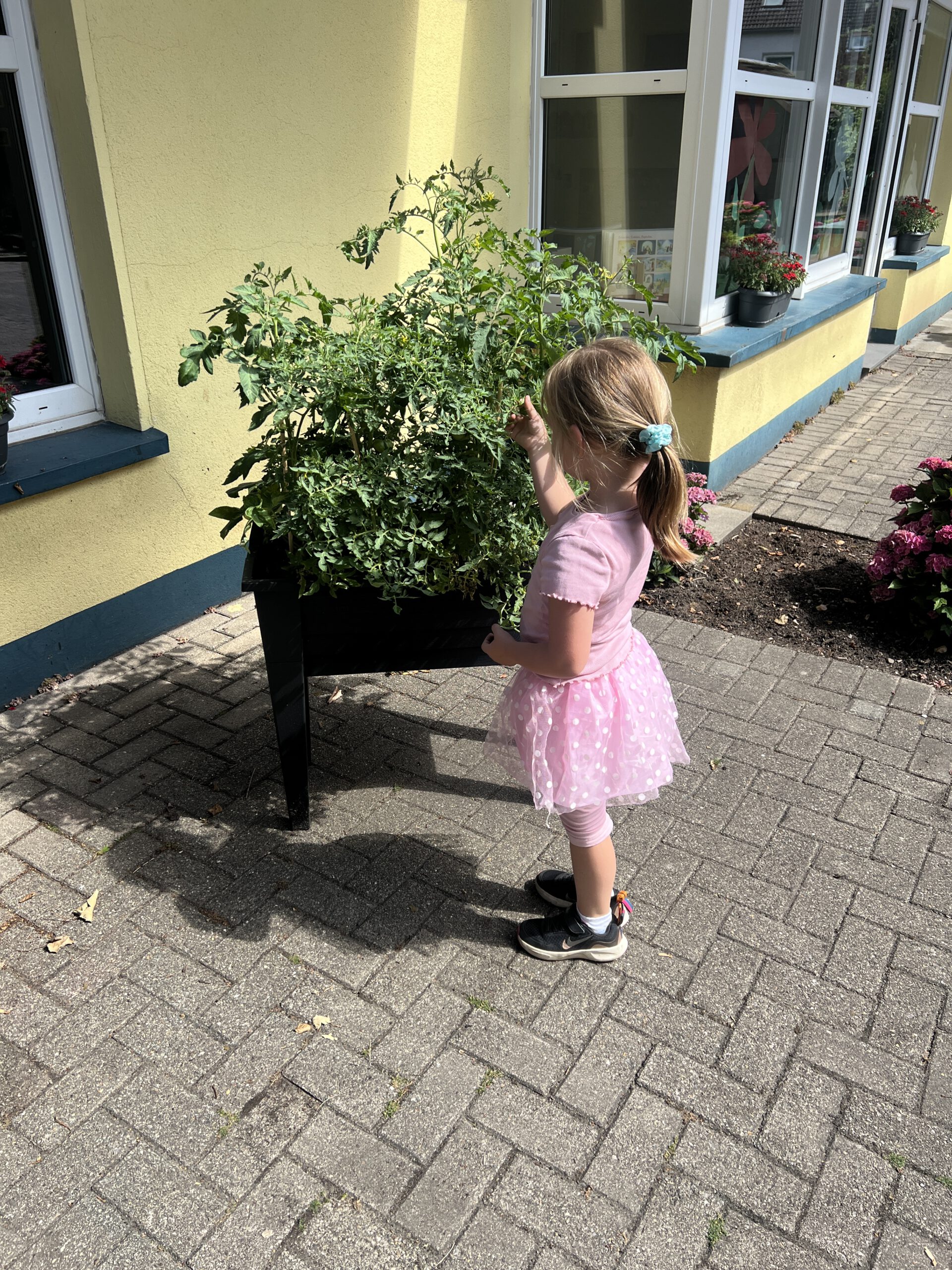 Ein Mädchen vor dem Hochbeet.