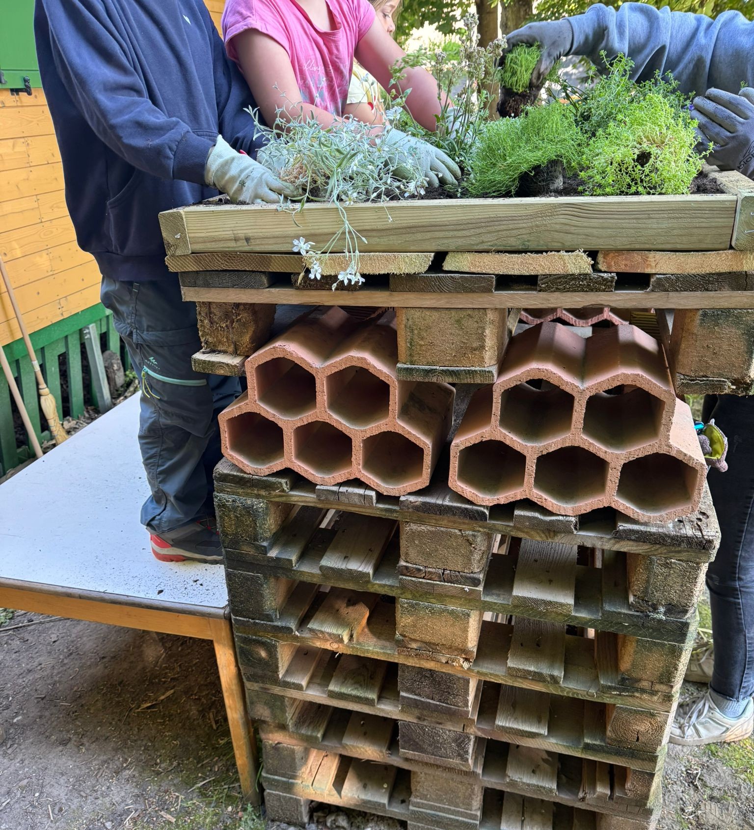 Kinder bauen ein Insektenhotel.