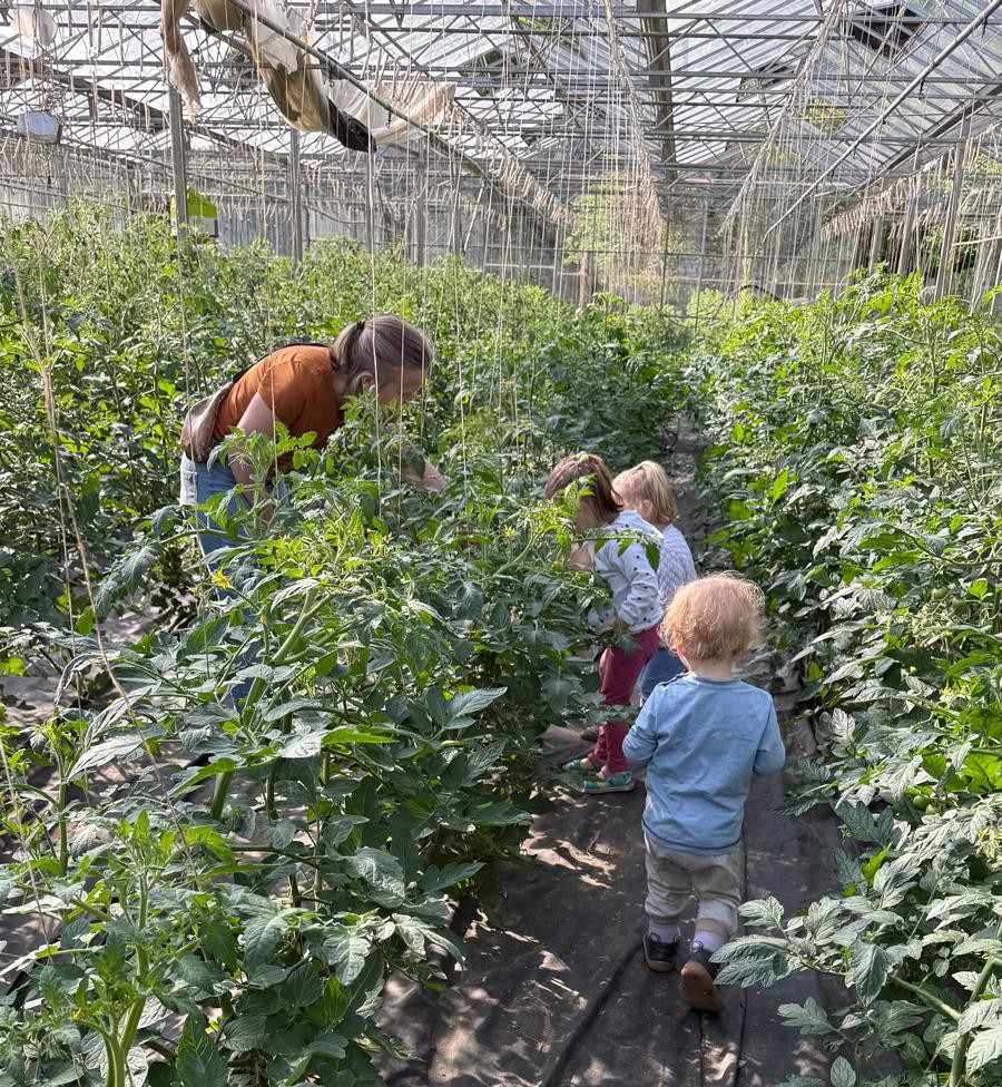 Die Kinder bekommen im Gewächshaus eine Führung.