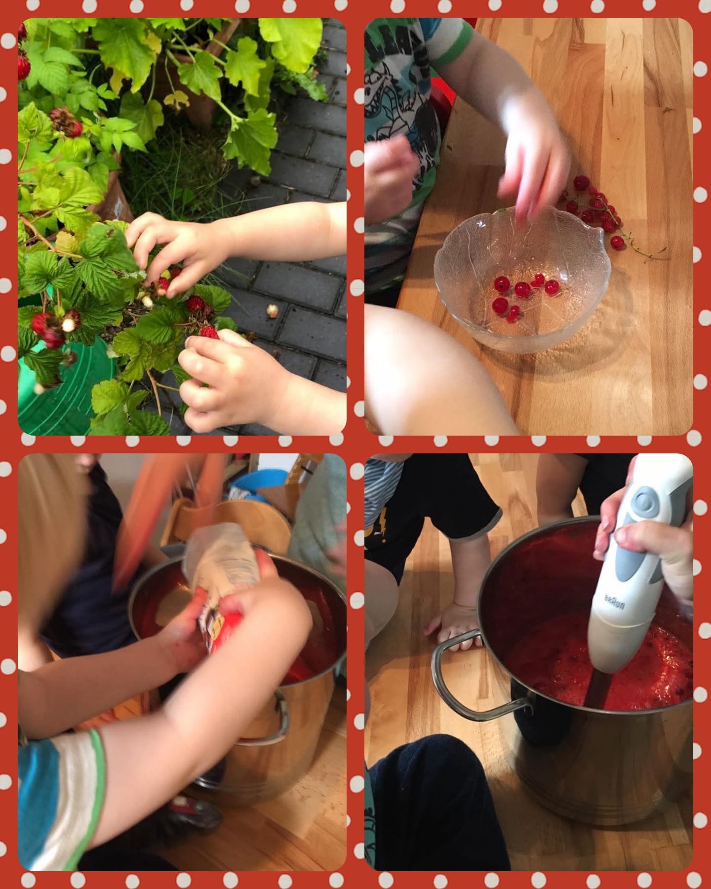 Bildercollage aus Fotos der Beerenernte und der Verarbeitung