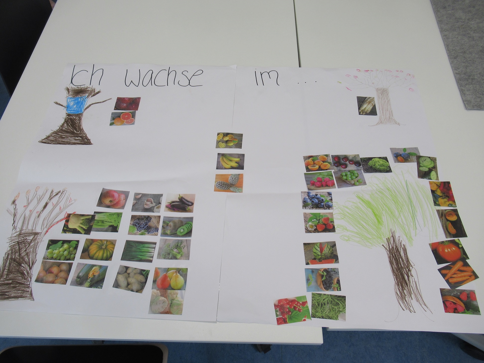 Plakat, auf dem Kinder Lebensmittel einer Jahreszeit zugeordnet haben