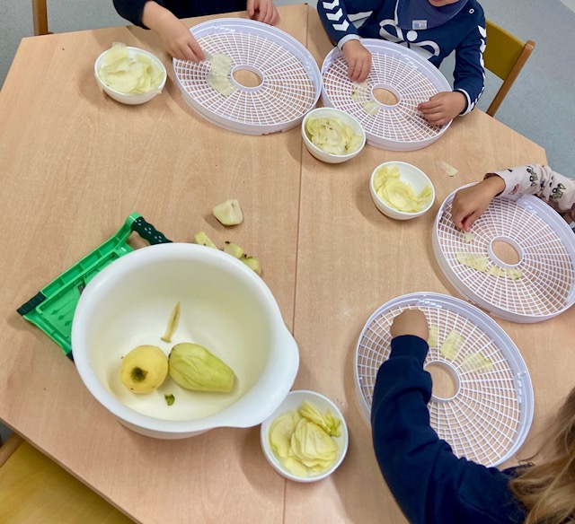 Kinder stellen Apfelchips her mit einem Dörrautomaten