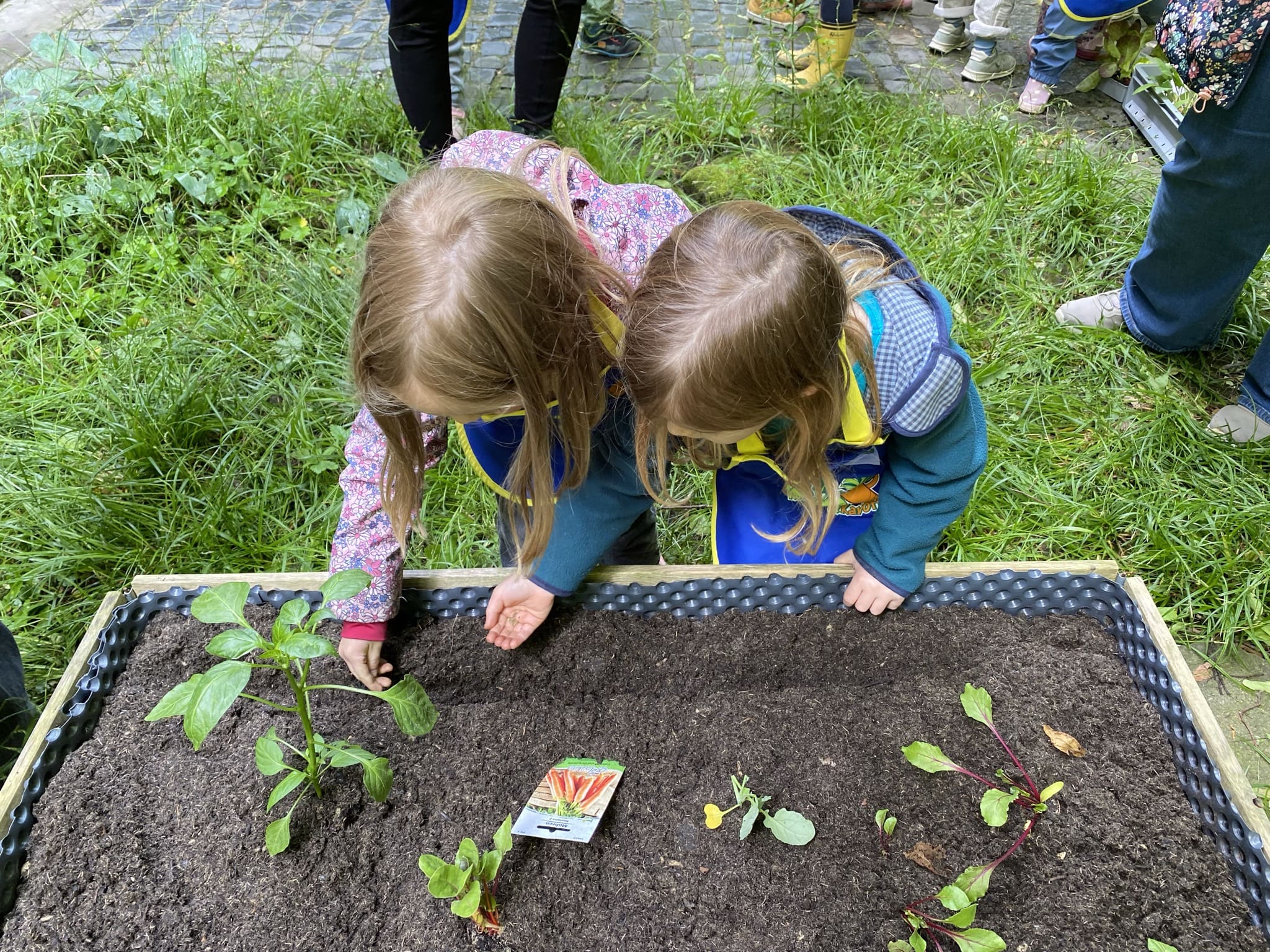 Zwei Kinder setzen Pflanzen in ein Hochbeet.
