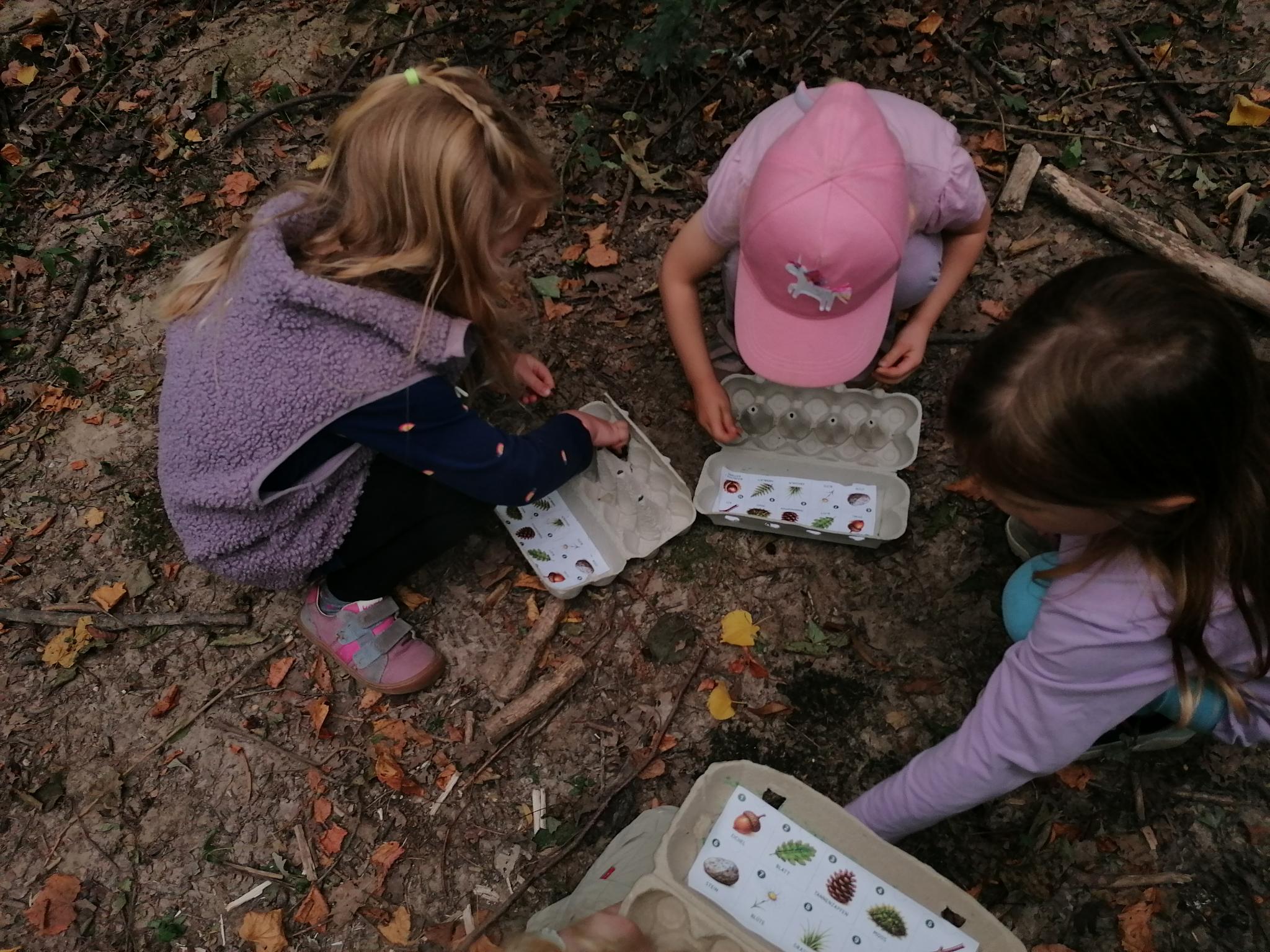 Drei Kinder sammeln Naturmaterialien im Wald